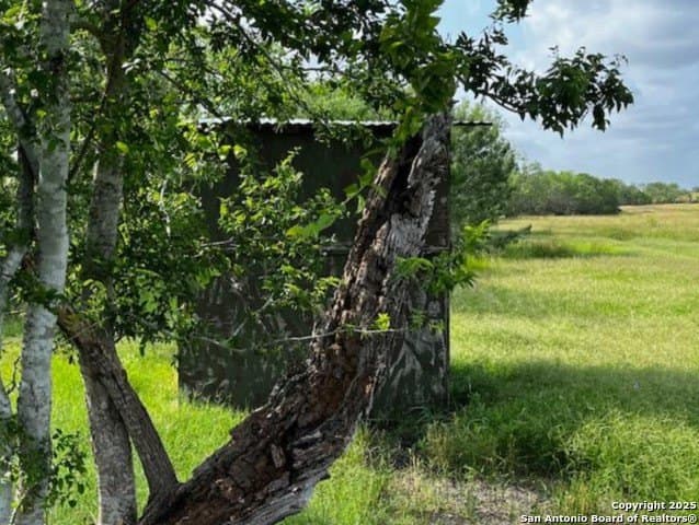 96.67 acres in Atascosa County - photo 9