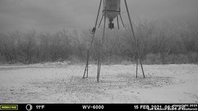 96.67 acres in Atascosa County - photo 24