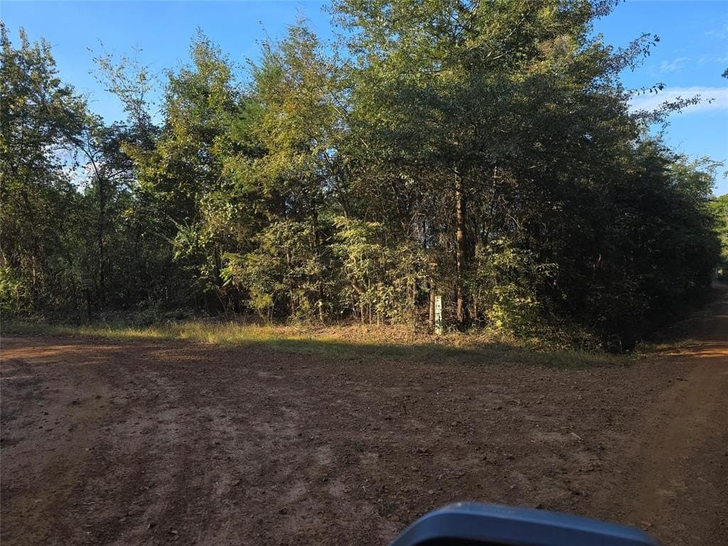 50 acres in Cass County - photo 7