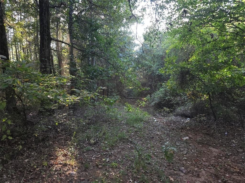 50 acres in Cass County - photo 2