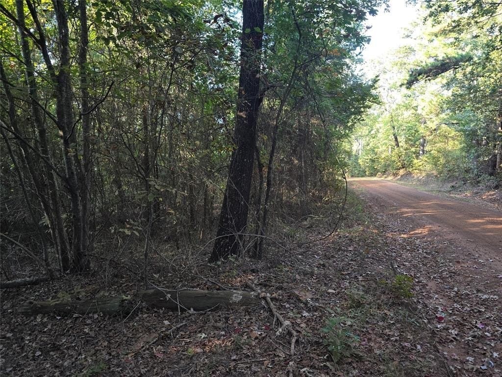 50 acres in Cass County - photo 3