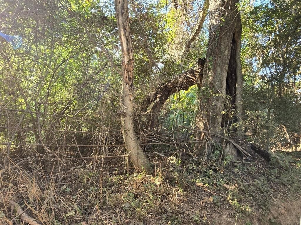 50 acres in Cass County - photo 10