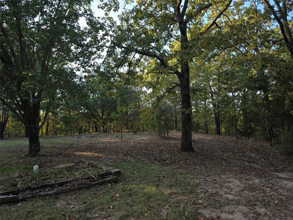 50 acres in Cass County - photo 19