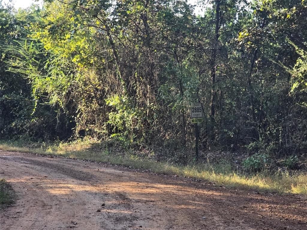 50 acres in Cass County - photo 8