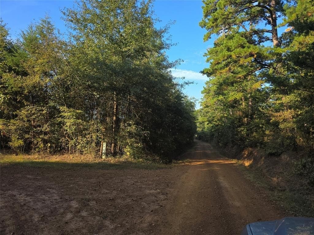 50 acres in Cass County - photo 6