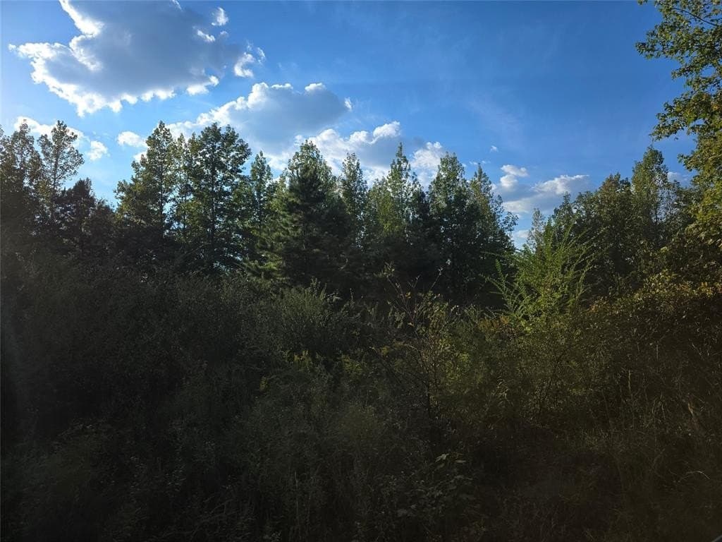 50 acres in Cass County - photo 5