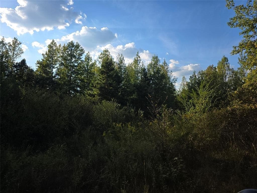 50 acres in Cass County - photo 4