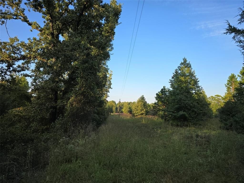 50 acres in Cass County - photo 21