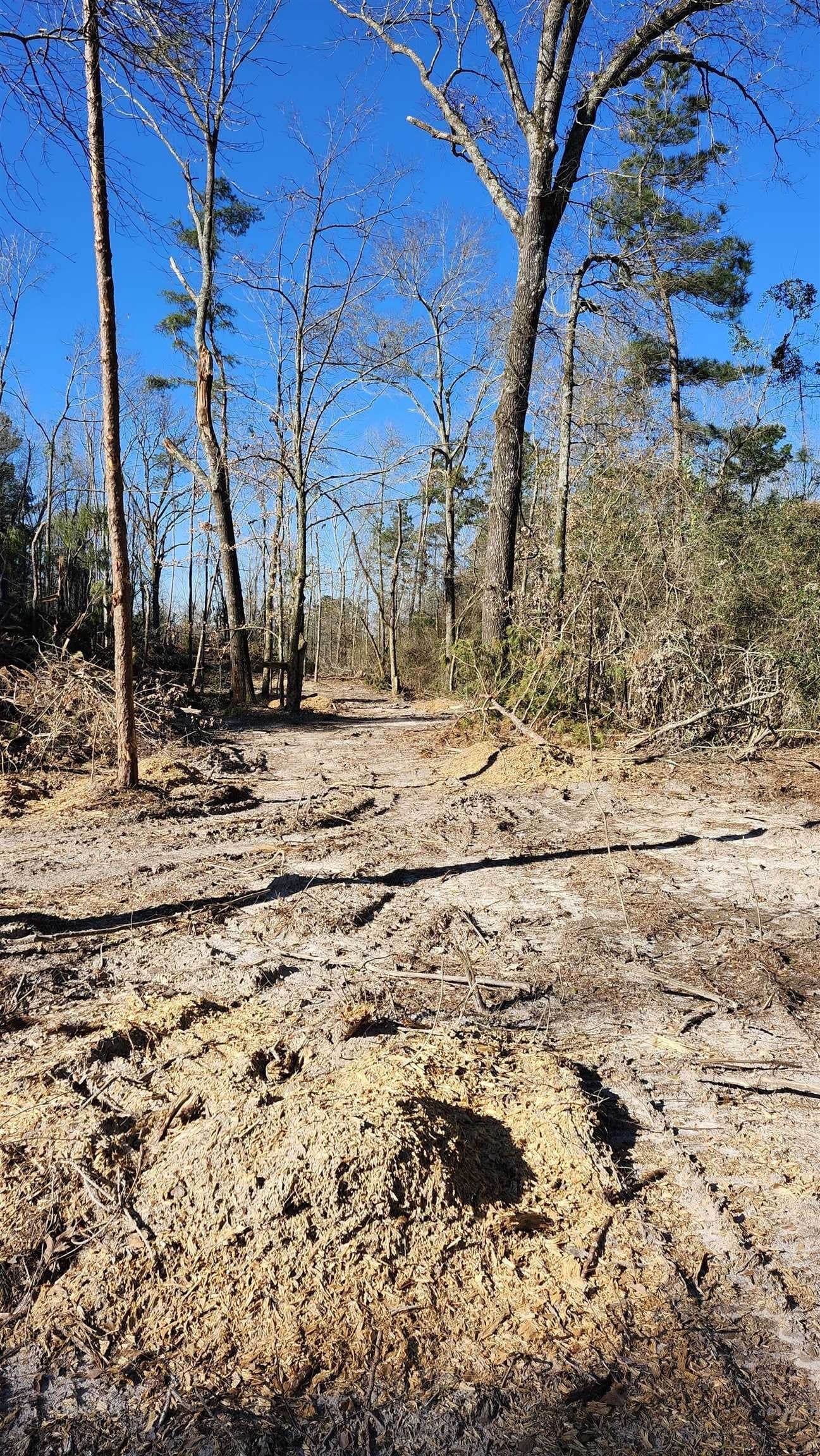 5.3 acres in Panola County - photo 9