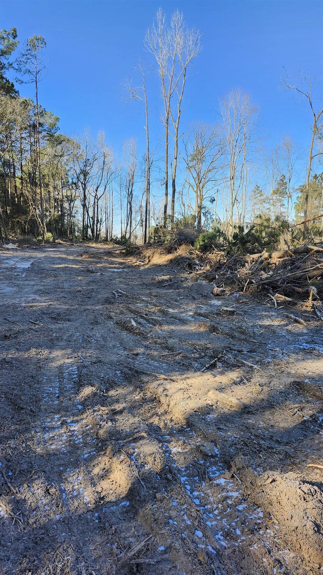5.3 acres in Panola County - photo 4