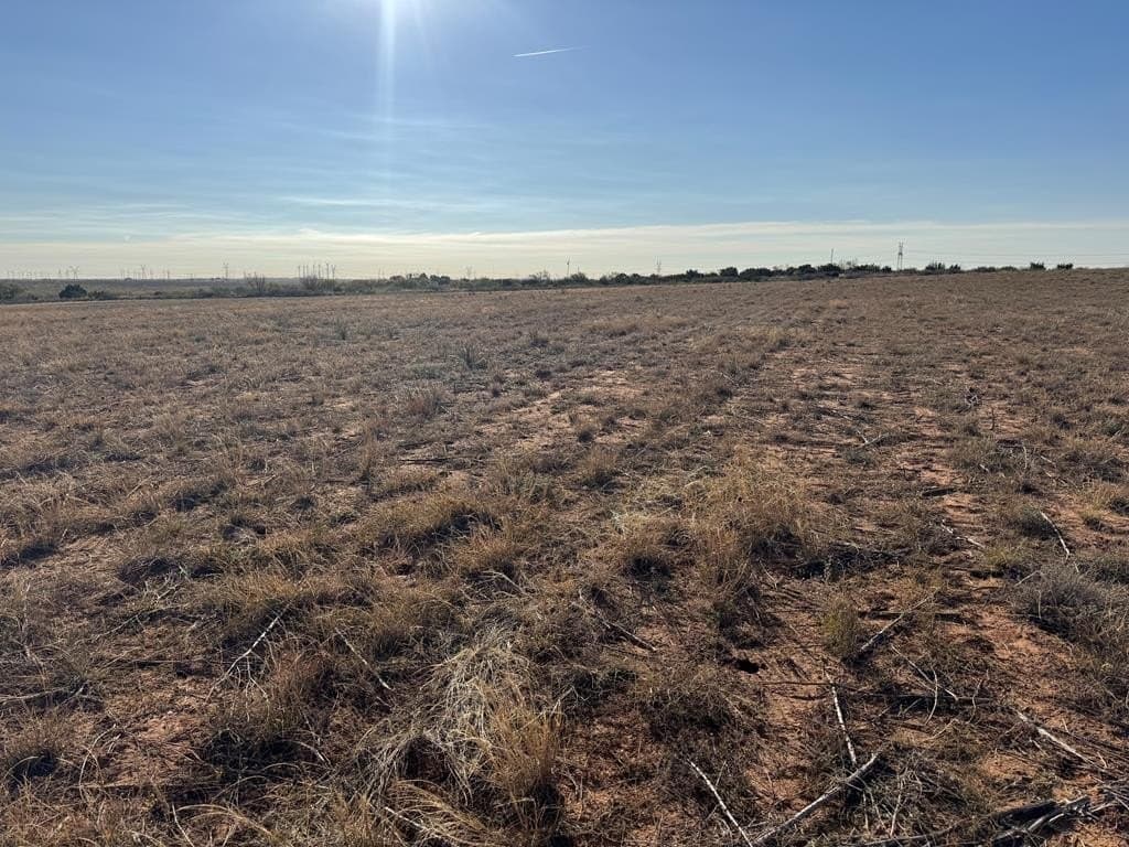 387.76 acres in Scurry County - photo 8