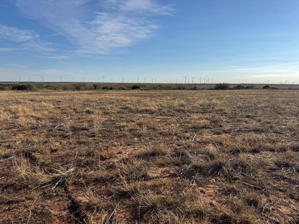 387.76 acres in Scurry County - photo 9