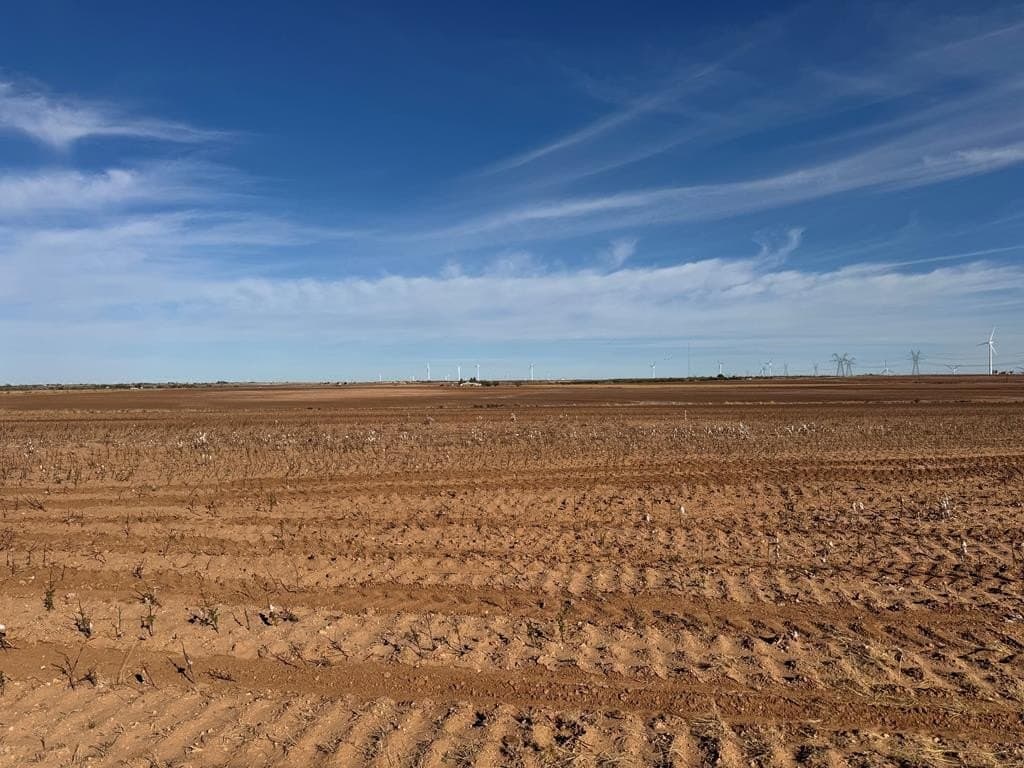 387.76 acres in Scurry County - photo 10