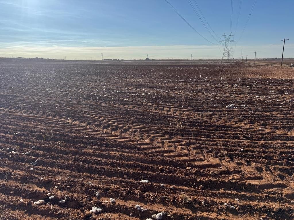 387.76 acres in Scurry County - photo 15
