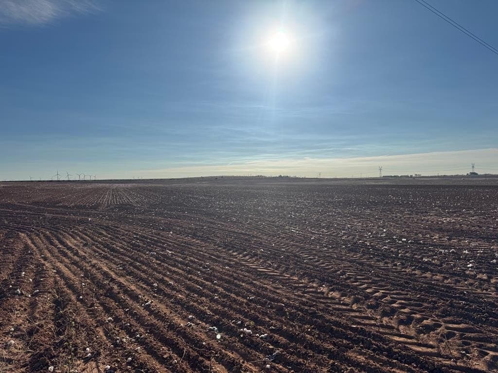 387.76 acres in Scurry County - photo 2
