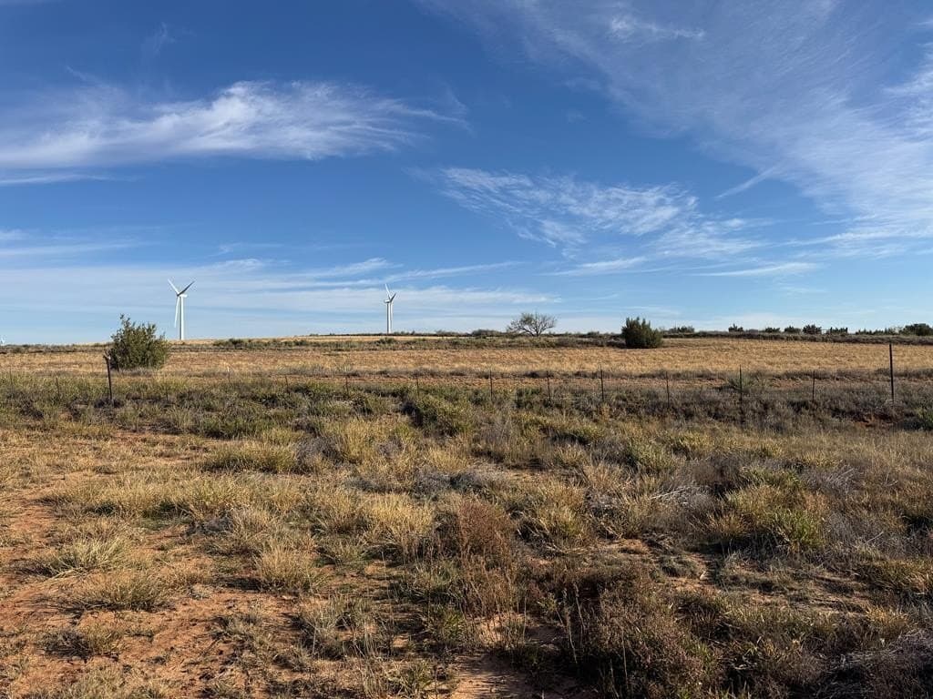 387.76 acres in Scurry County - photo 7