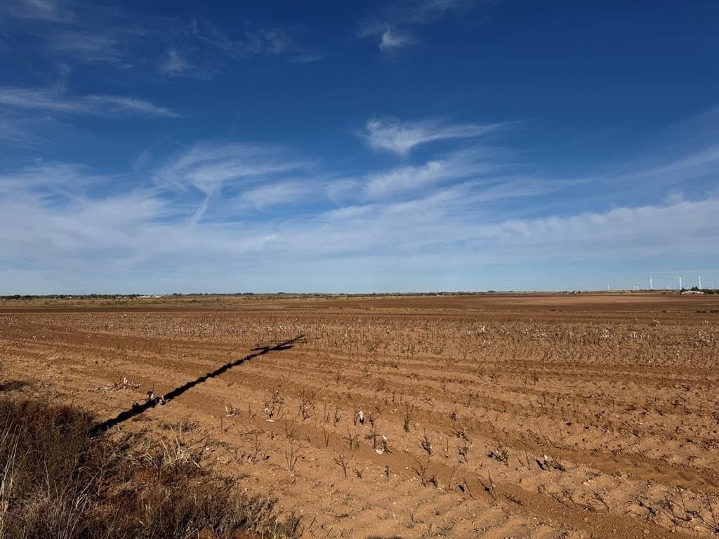 387.76 acres in Scurry County - photo 4