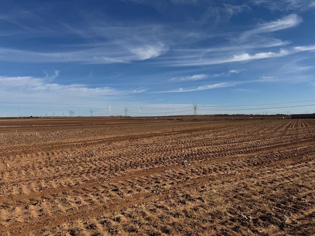 387.76 acres in Scurry County - photo 5