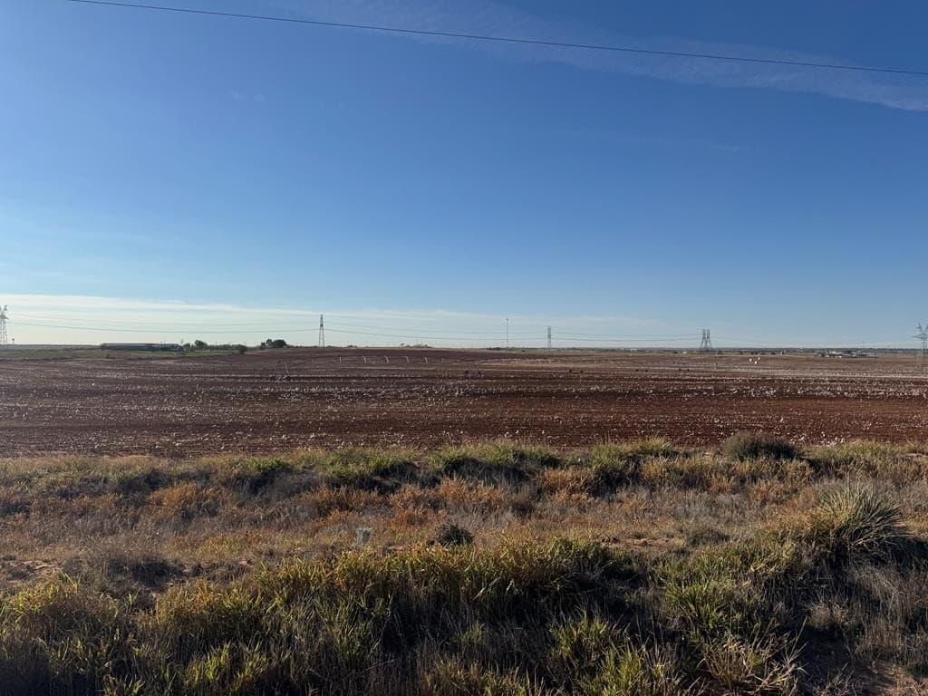 387.76 acres in Scurry County - photo 11