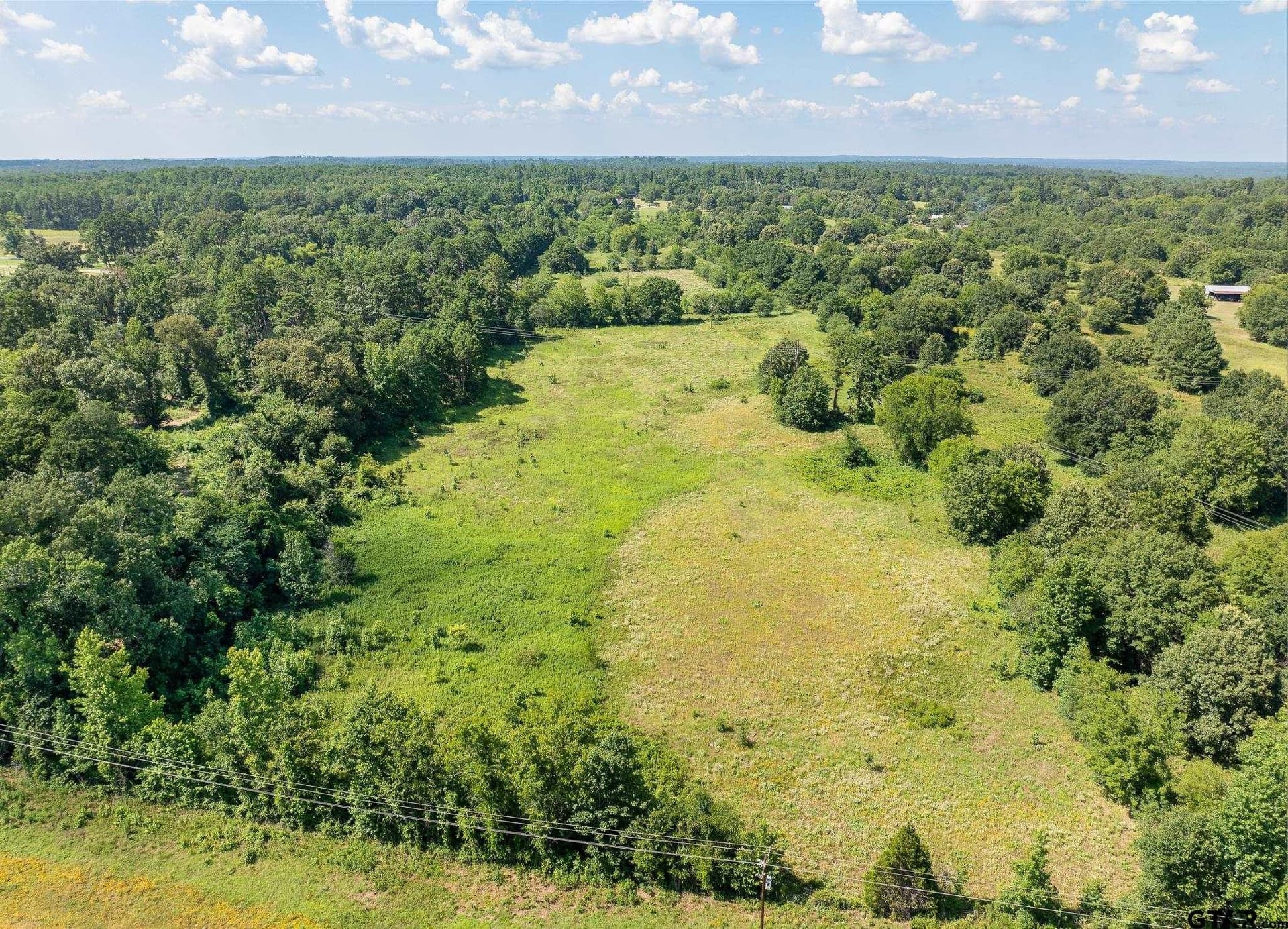 35 acres in Wood County - photo 5