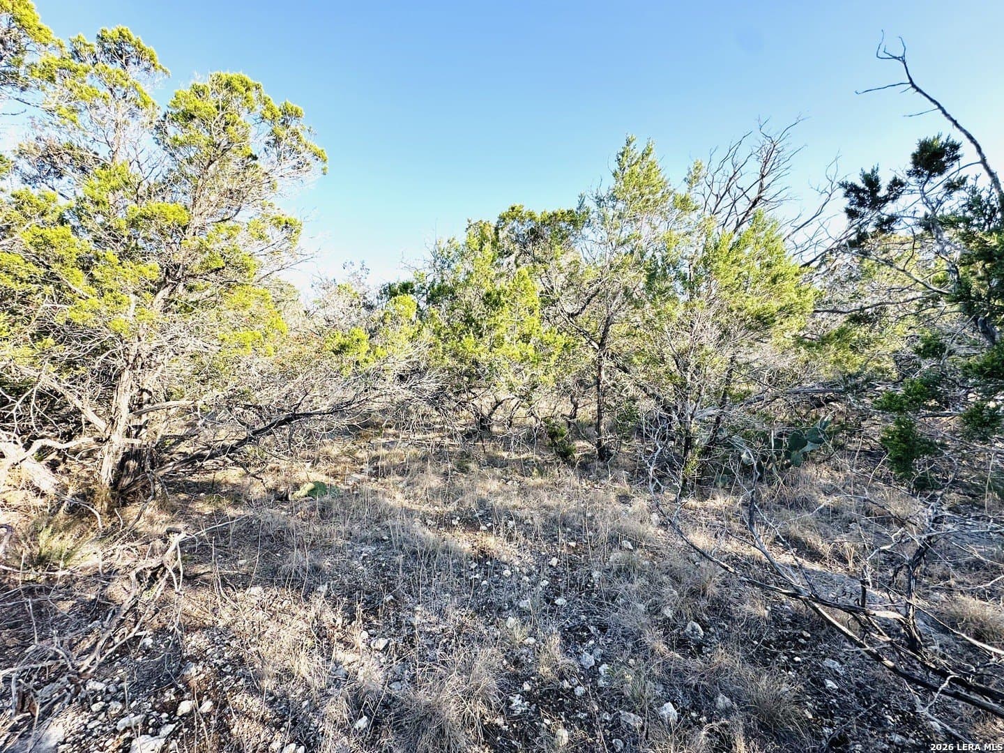 0.21 acres in Bandera County - photo 4