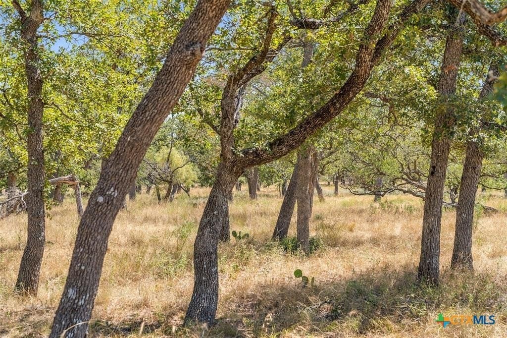 18.15 acres in Gillespie County - photo 6