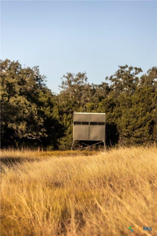 18.15 acres in Gillespie County - photo 10