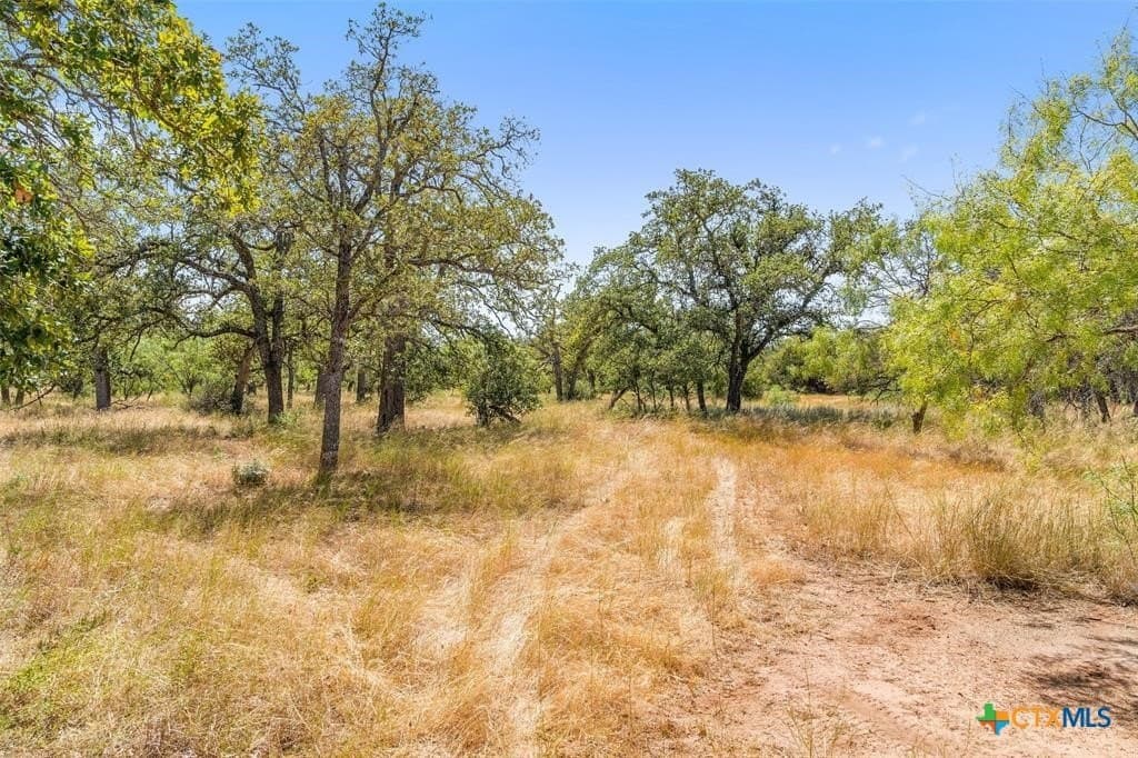18.15 acres in Gillespie County - photo 18