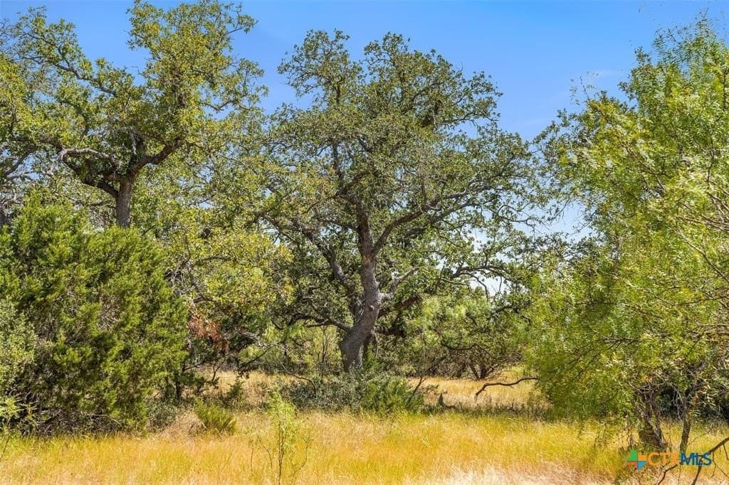 18.15 acres in Gillespie County - photo 5