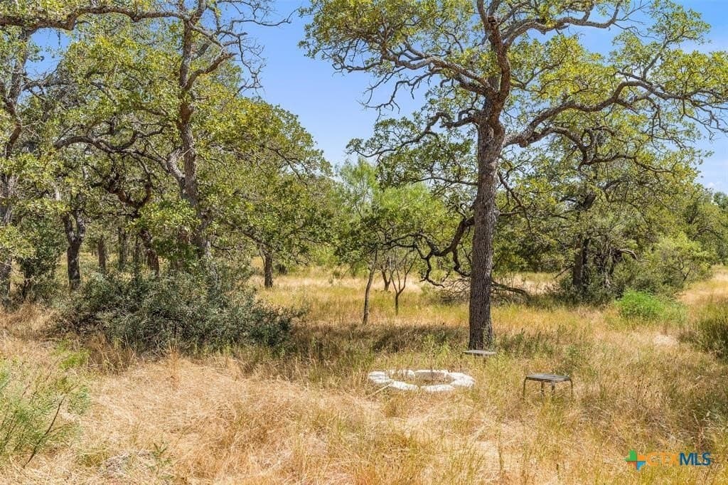18.15 acres in Gillespie County - photo 2