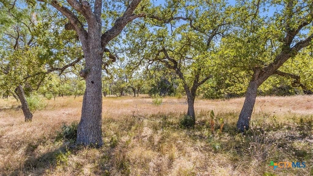 18.15 acres in Gillespie County - photo 3