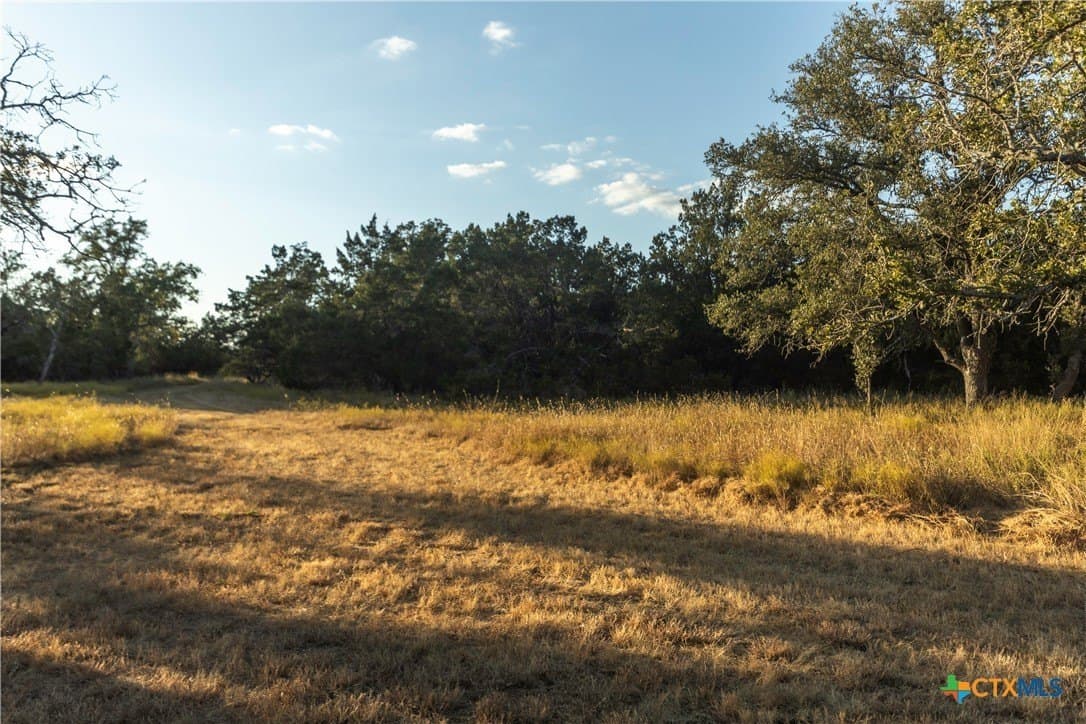 18.15 acres in Gillespie County - photo 12