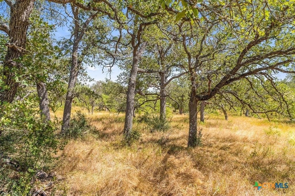 18.15 acres in Gillespie County - photo 4