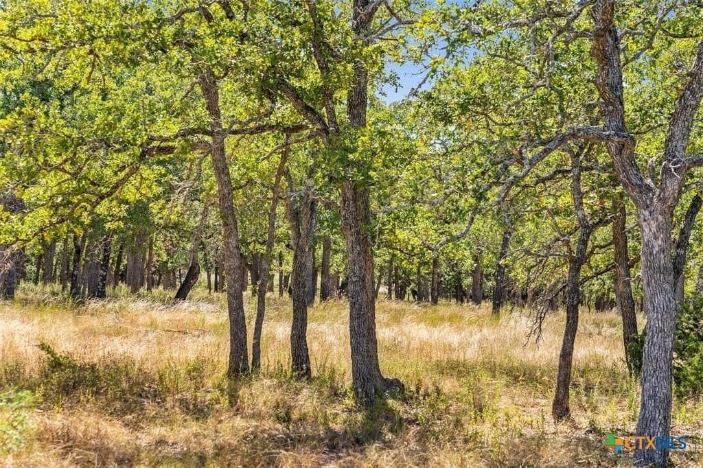 18.15 acres in Gillespie County - photo 23