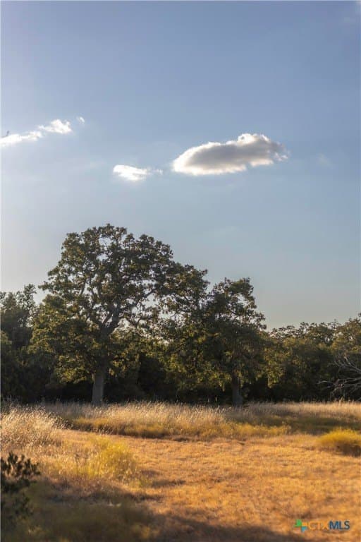 18.15 acres in Gillespie County - photo 8