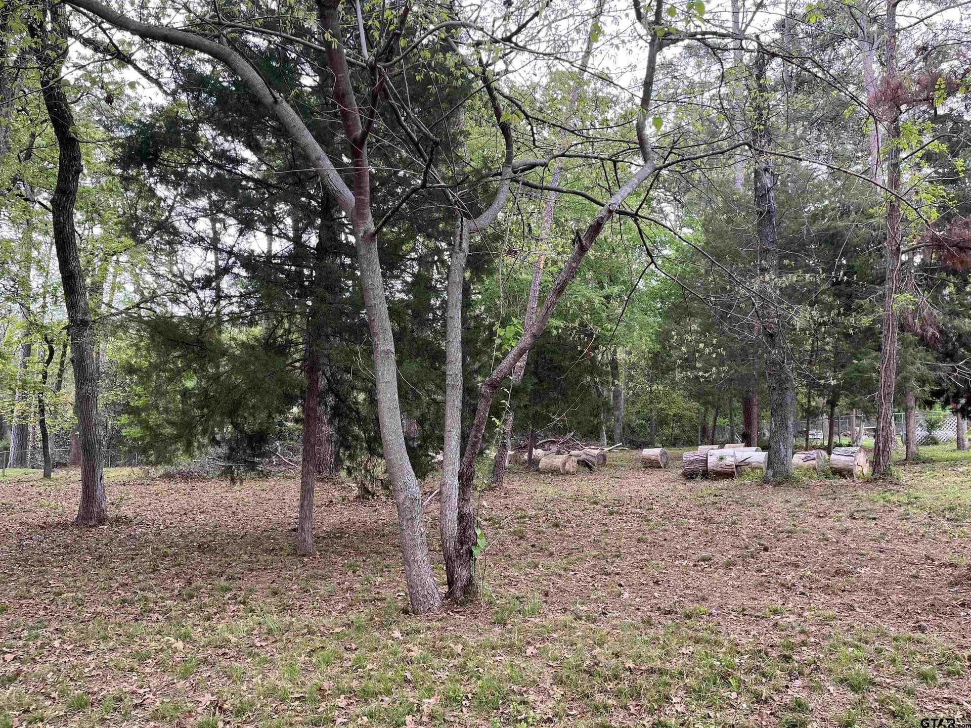 0.5 acres in Smith County - photo 4