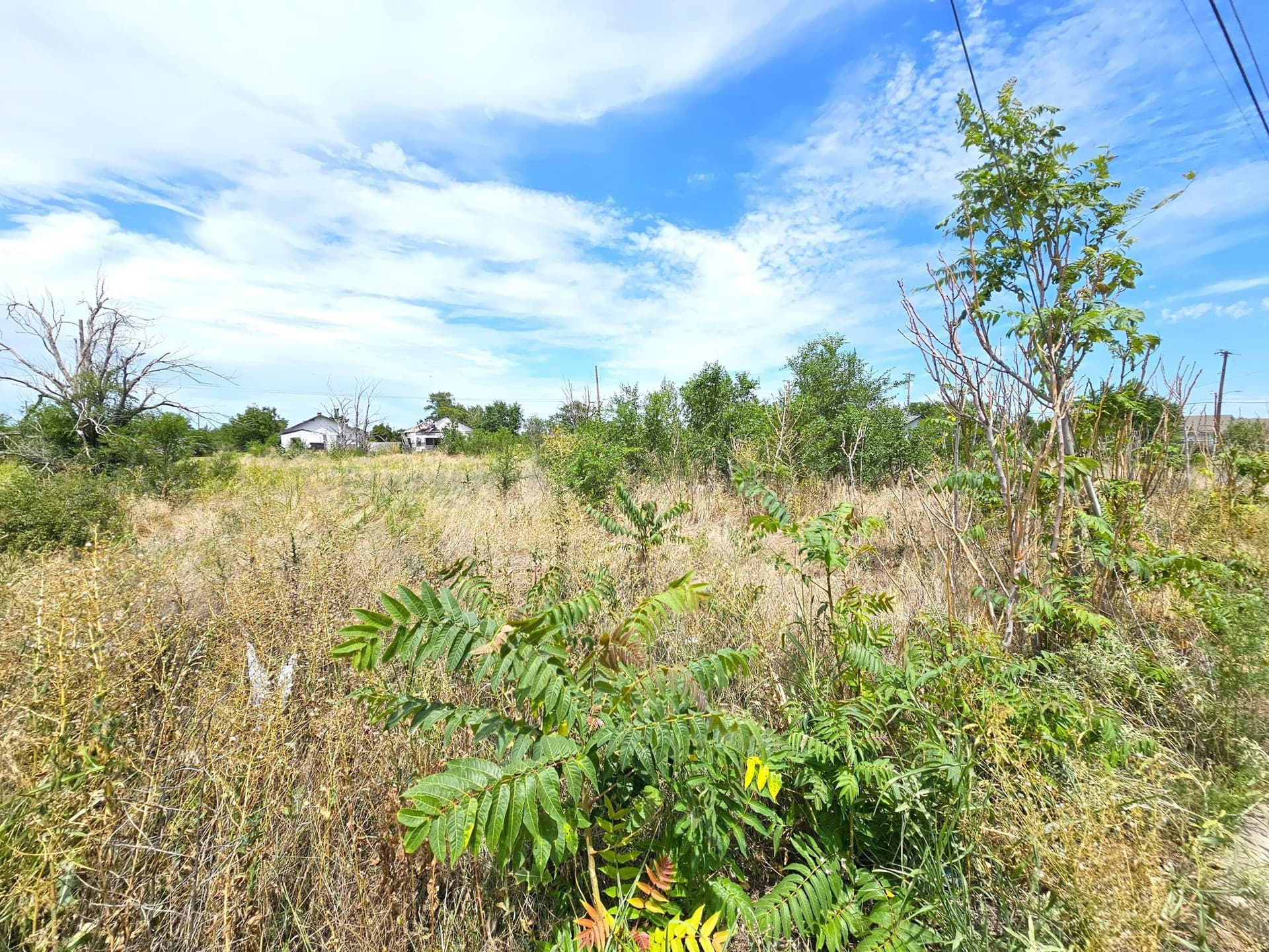 0 acres in Texas County - photo 2