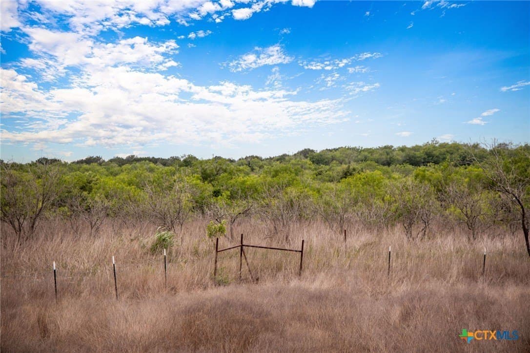 10 acres in Hays County - photo 8