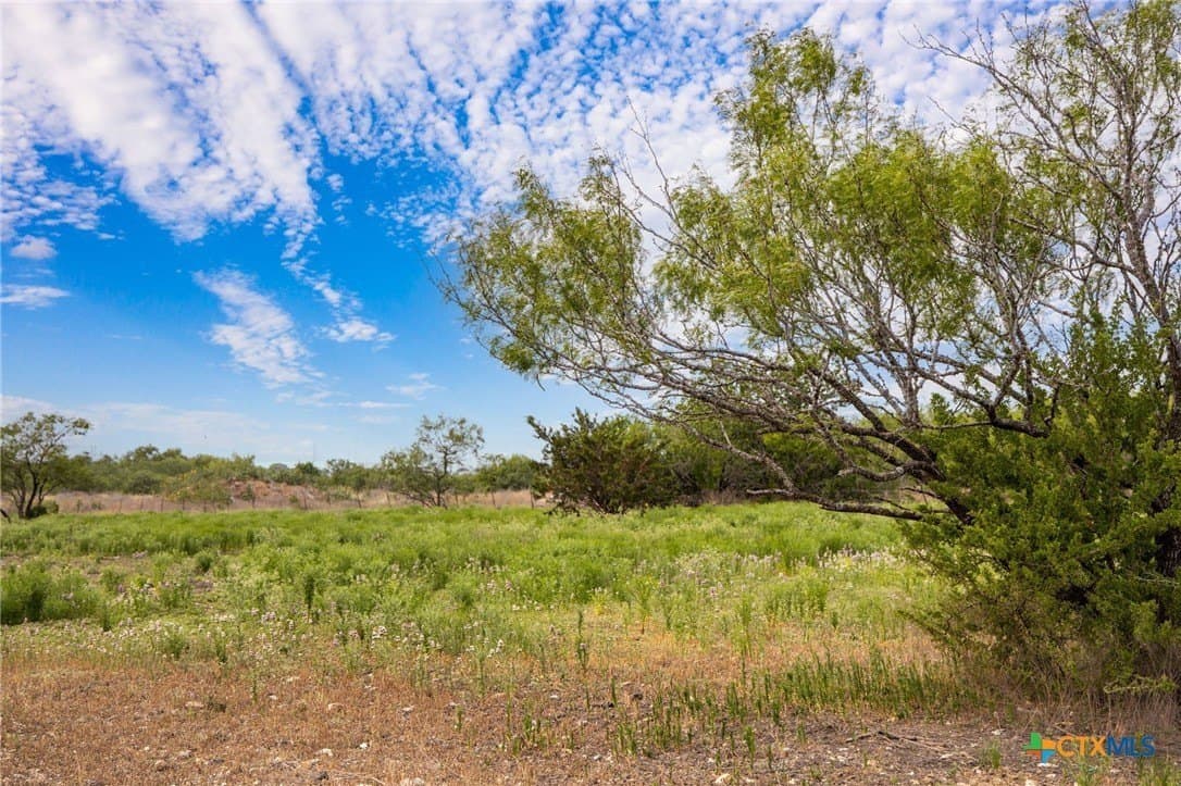 10 acres in Hays County - photo 18