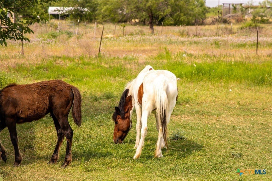 10 acres in Hays County - photo 6