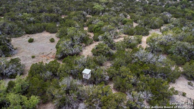 150 acres in Kimble County - photo 15