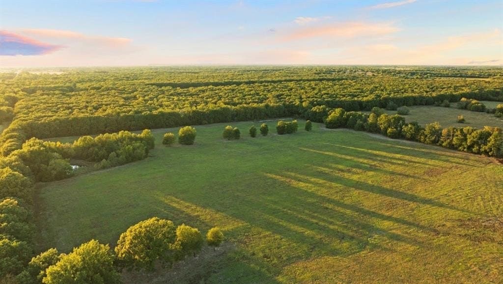 20 acres in Lamar County - photo 3