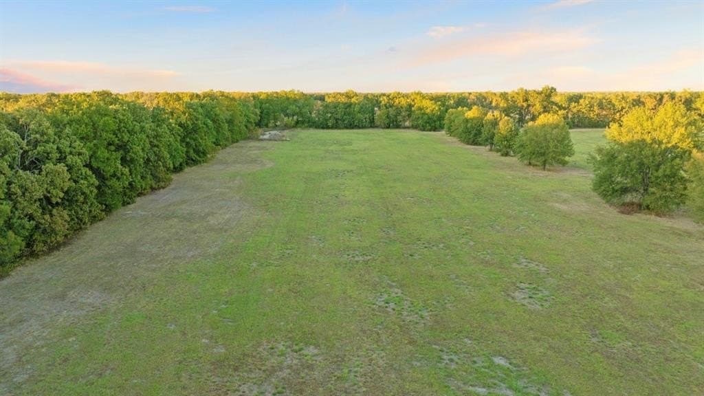 20 acres in Lamar County - photo 7