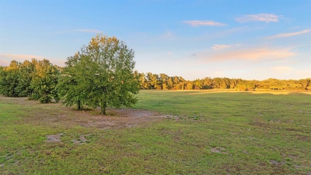 20 acres in Lamar County - photo 8