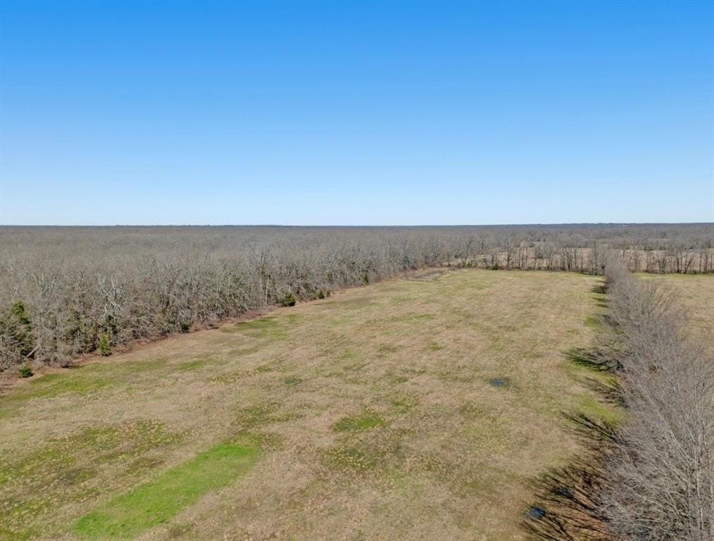 20 acres in Lamar County - photo 13