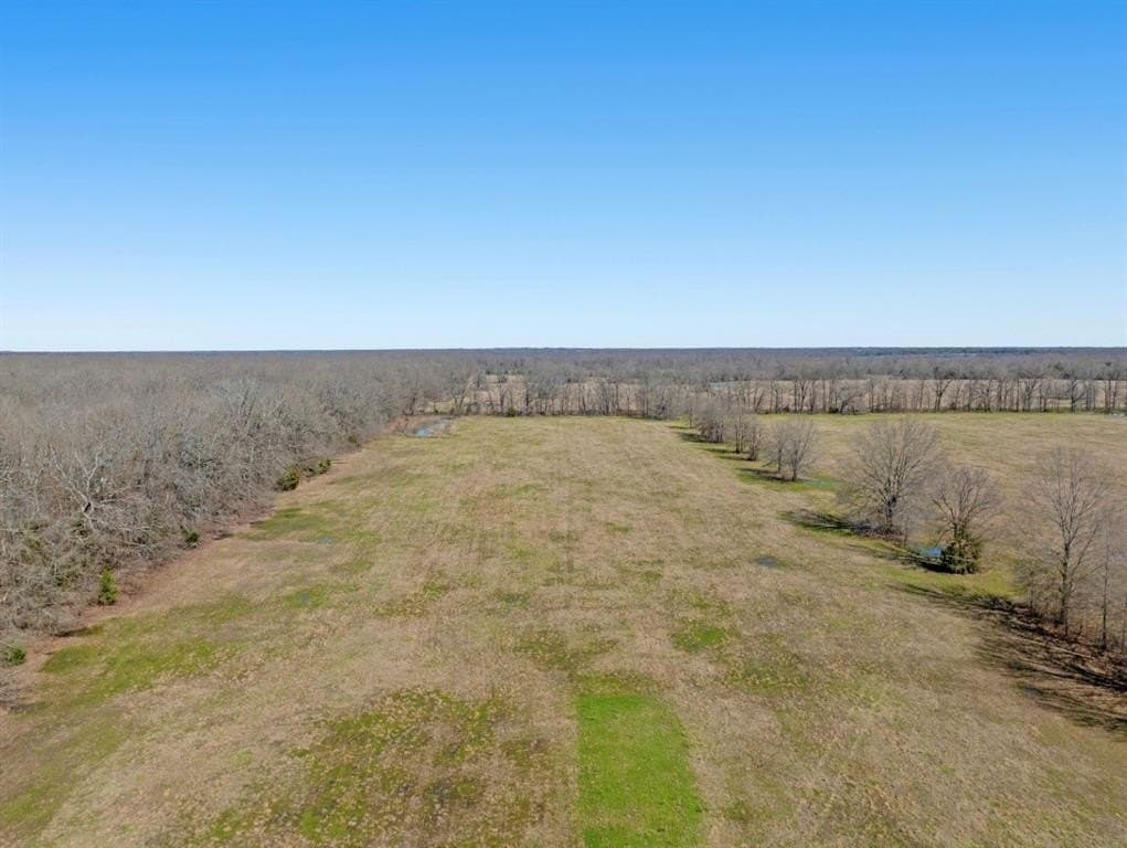 20 acres in Lamar County - photo 15