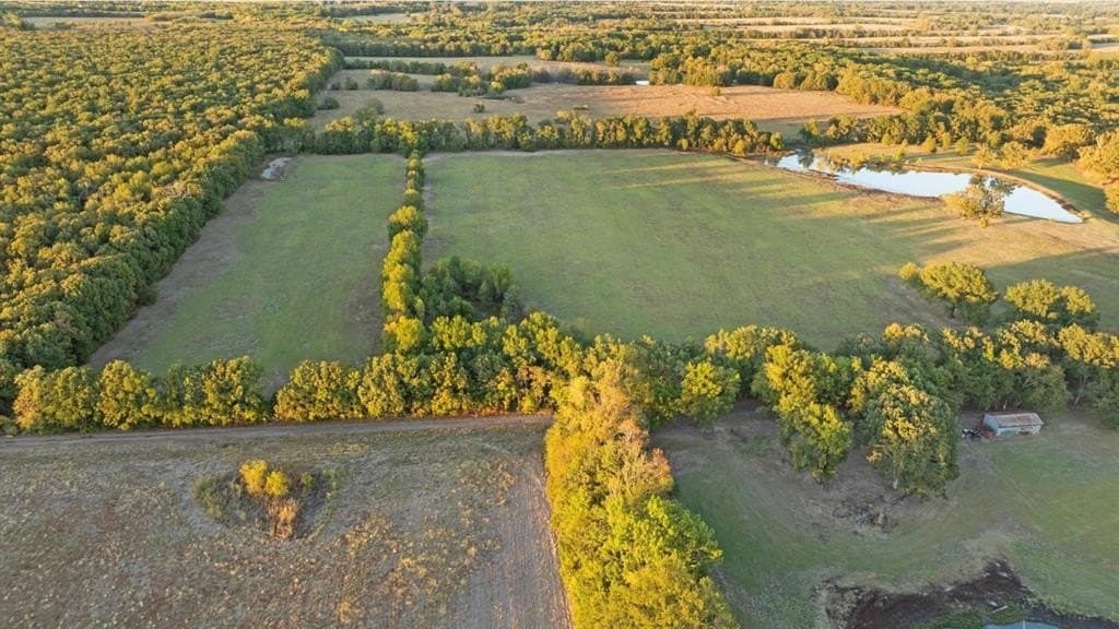 20 acres in Lamar County - photo 2