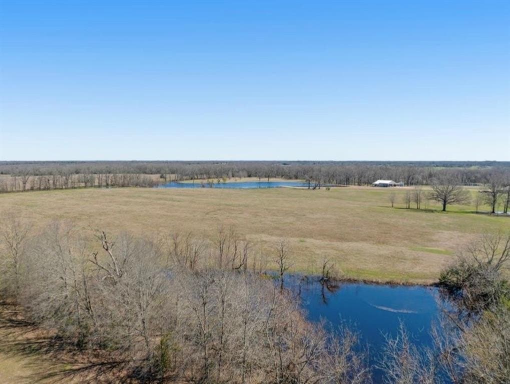 20 acres in Lamar County - photo 14