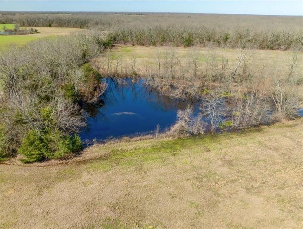 20 acres in Lamar County - photo 11