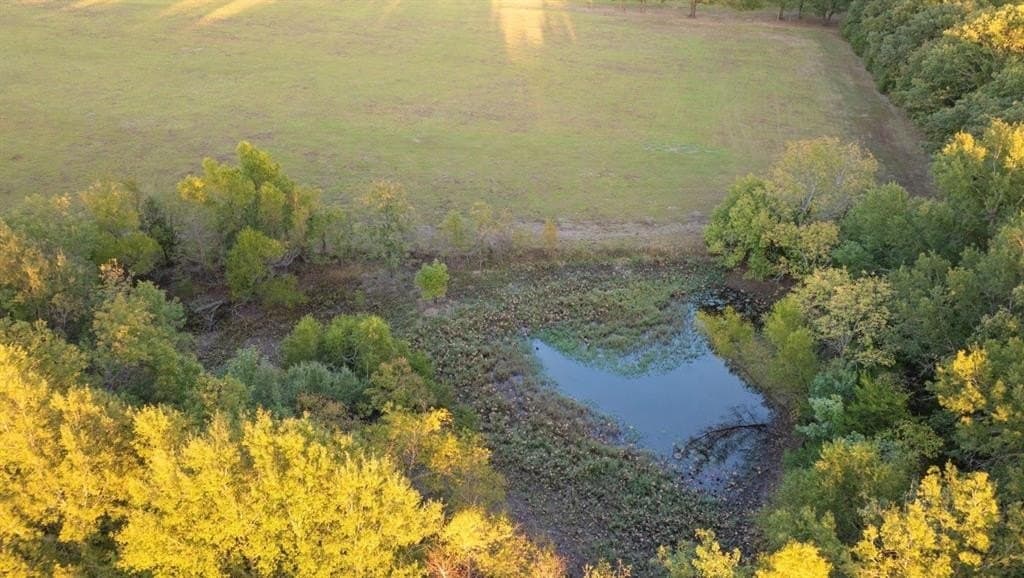 20 acres in Lamar County - photo 6
